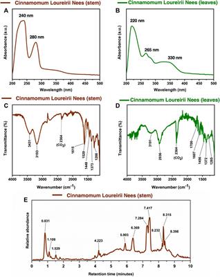 Screening of Hibiscus and Cinnamomum Plants and Identification of Major Phytometabolites in Potential Plant Extracts Responsible for Apoptosis Induction in Skin Melanoma and Lung Adenocarcinoma Cells